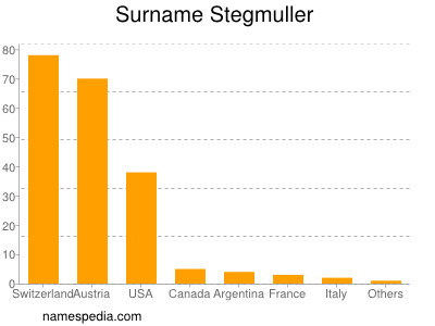 Surname Stegmuller