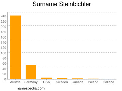 Surname Steinbichler