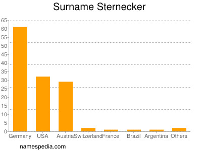 Surname Sternecker