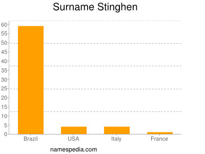 Surname Stinghen