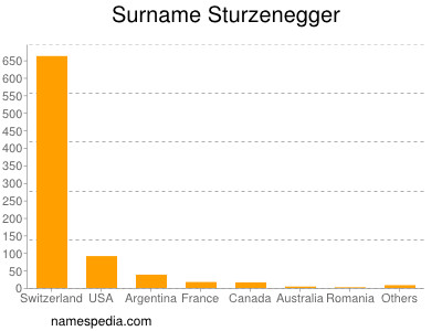 Surname Sturzenegger