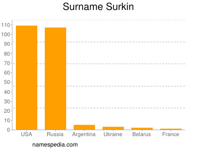 Surname Surkin