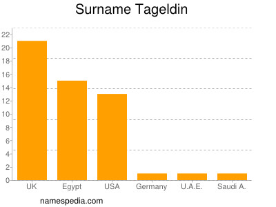 Surname Tageldin