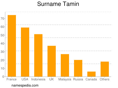Surname Tamin