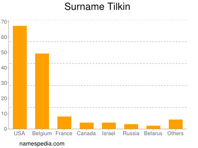 Surname Tilkin
