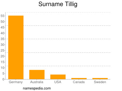 Surname Tillig