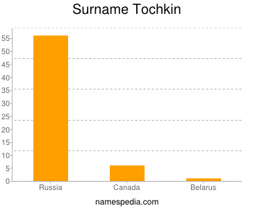 Surname Tochkin