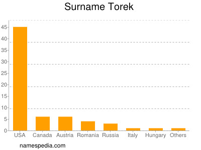 Surname Torek