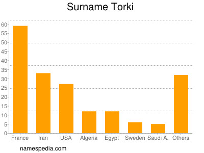 Surname Torki