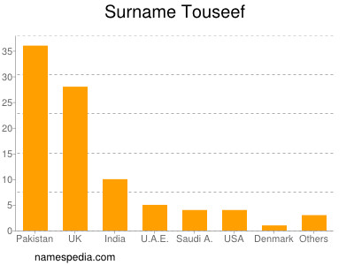 Surname Touseef