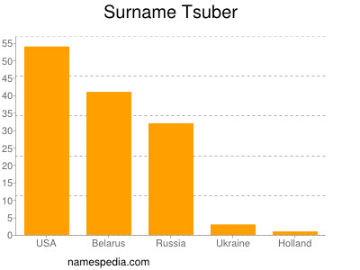 Surname Tsuber