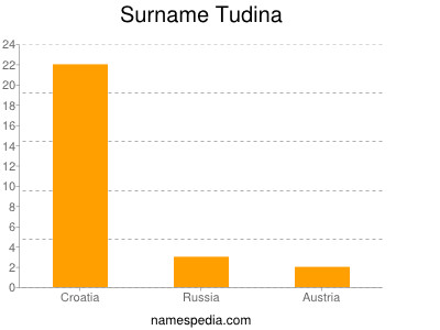 Surname Tudina