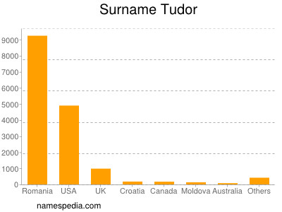 Surname Tudor