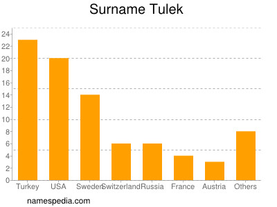Surname Tulek