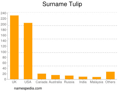 Surname Tulip
