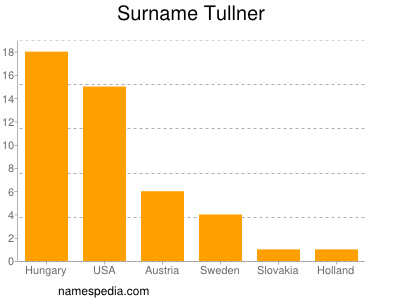 Surname Tullner