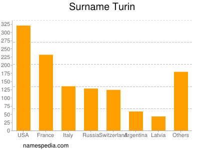 Surname Turin