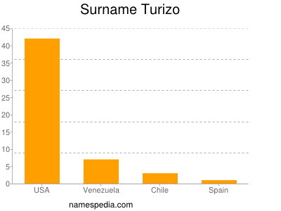 Surname Turizo
