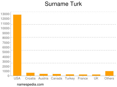 Surname Turk