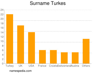 Surname Turkes