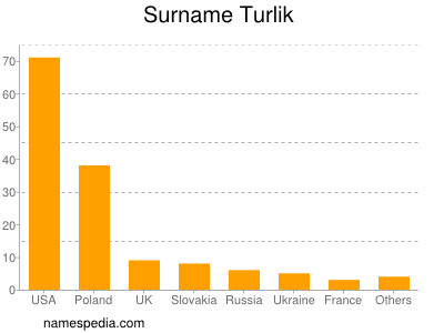 Surname Turlik