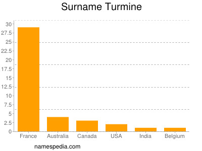 Surname Turmine