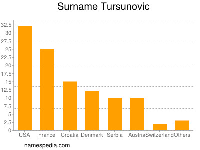 Surname Tursunovic