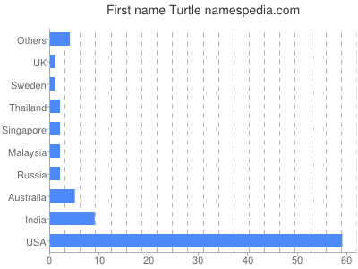 Given name Turtle