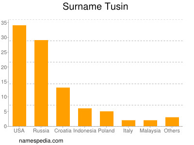 Surname Tusin