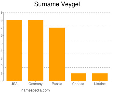 Surname Veygel