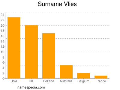 Surname Vlies