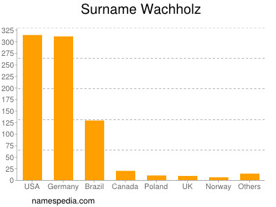 Surname Wachholz