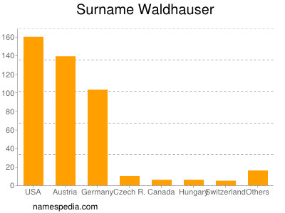 Surname Waldhauser