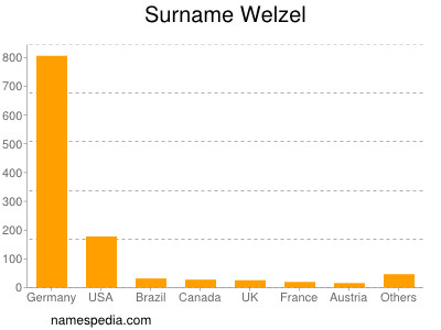 Surname Welzel