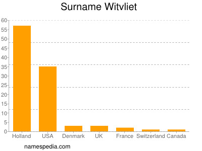 Surname Witvliet