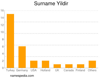 Surname Yildir