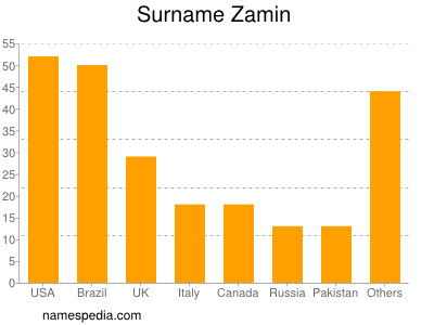 Surname Zamin