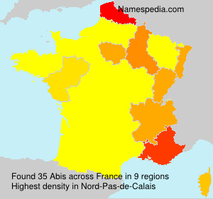 Surname Abis in France