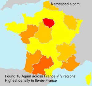 Surname Agam in France