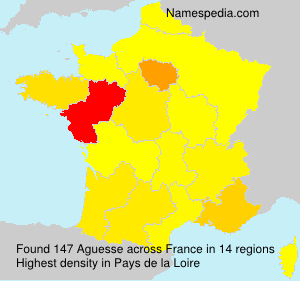 Surname Aguesse in France