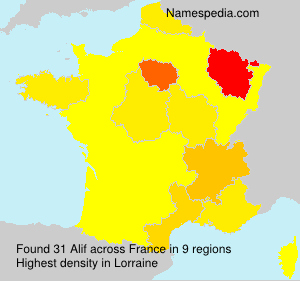 Surname Alif in France