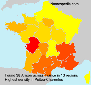 Surname Allison in France