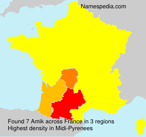 Surname Amik in France