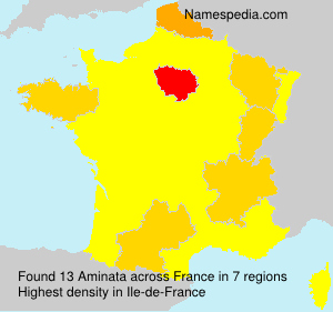 Surname Aminata in France