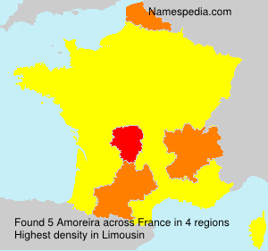 Surname Amoreira in France