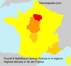 Surname Apfelbaum in France