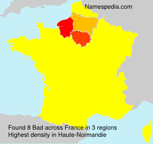 Surname Bad in France