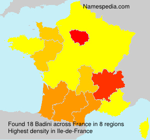 Surname Badini in France