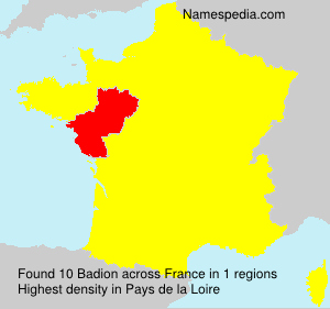 Surname Badion in France