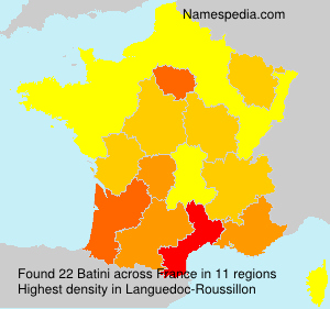 Surname Batini in France